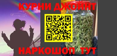 сатива Краснодар
