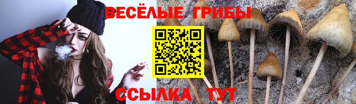 Метадон Тутаев